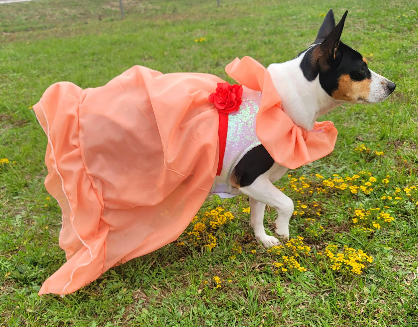 Peaches and Cream pet costume, peaches and cream dog costume, peaches and cream cat costume, peaches and cream pet dress, replica Barbie pet