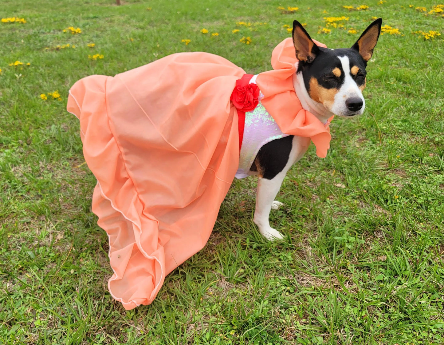 Peaches and Cream pet costume, peaches and cream dog costume, peaches and cream cat costume, peaches and cream pet dress, replica Barbie pet