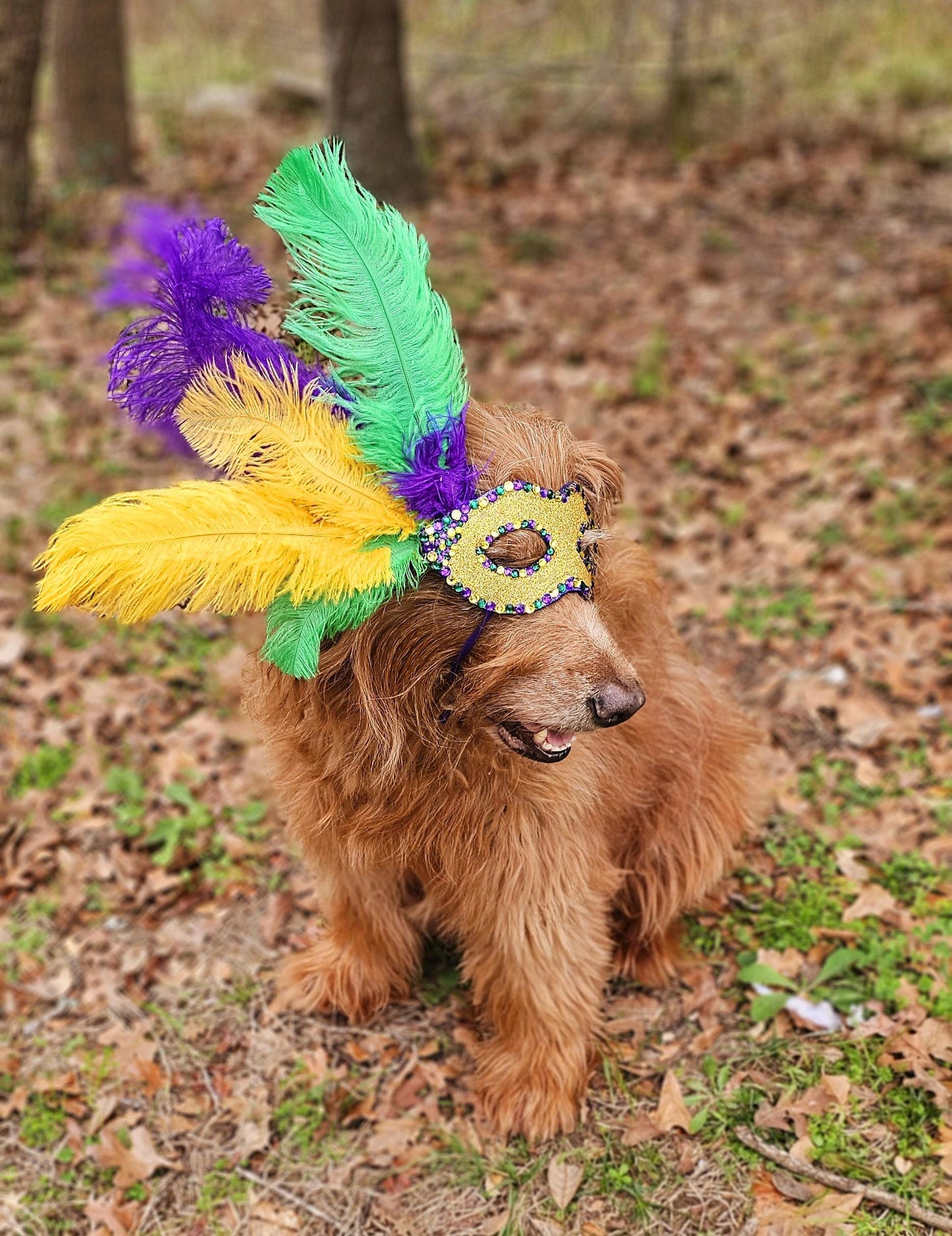Mardi Gras Pet Masks, Mardi Gras Dog Mask, Fat Tuesday Dog Mask, Fat Tuesday Pet Mask, Mardi Gras Cat Mask, Pet Costume Mask, Dog Mask Inactive