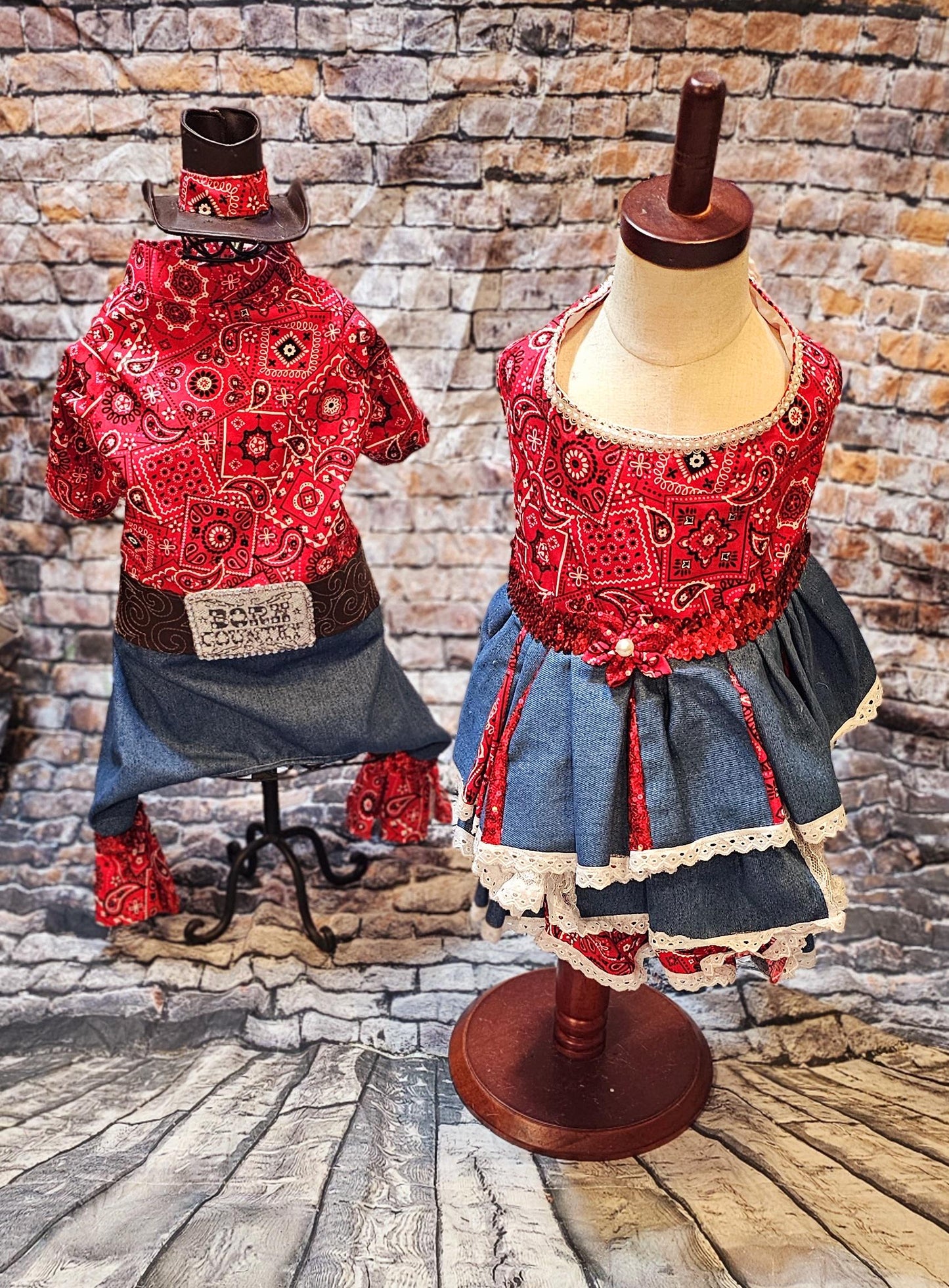 - Western cowgirl pet dress, Country western pet dress