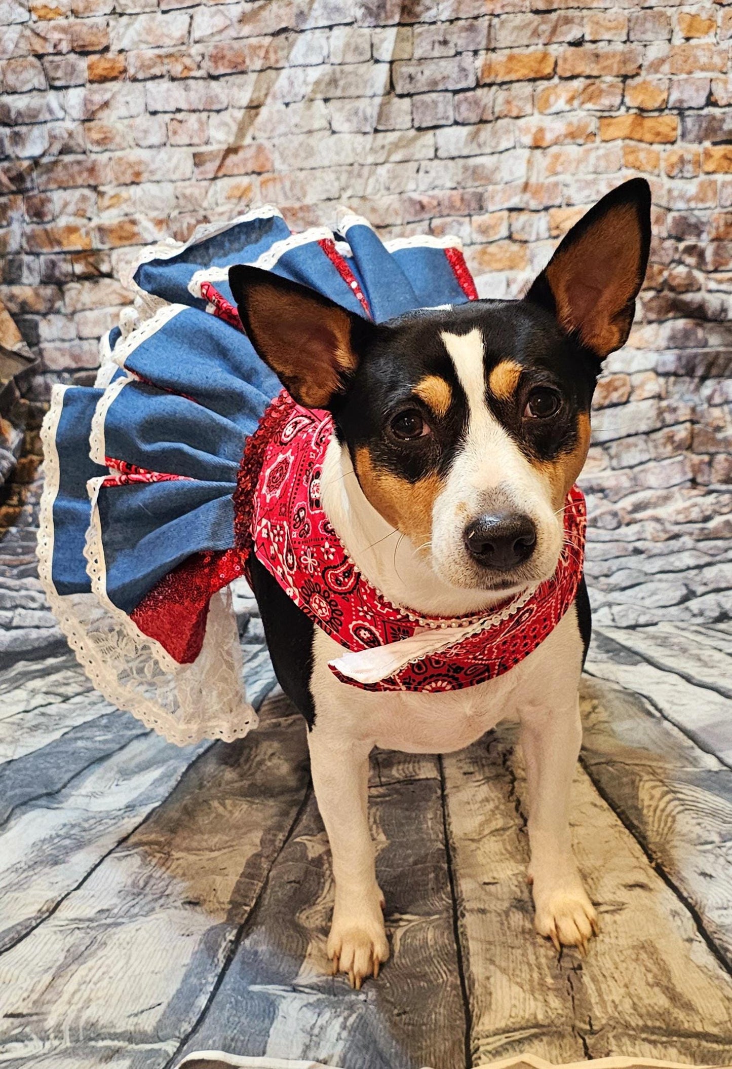 - Western cowgirl pet dress, Country western pet dress