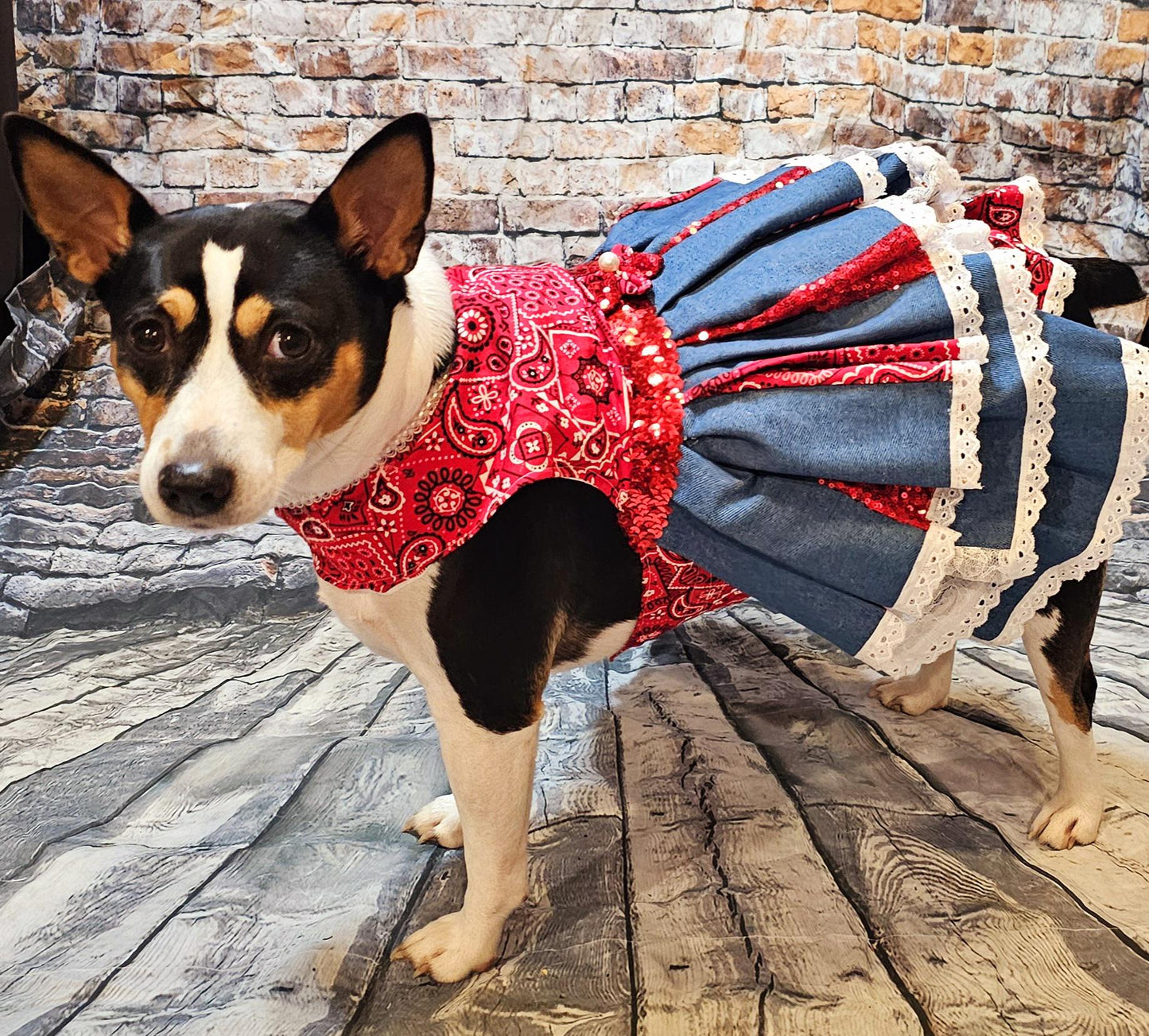 - Western cowgirl pet dress, Country western pet dress