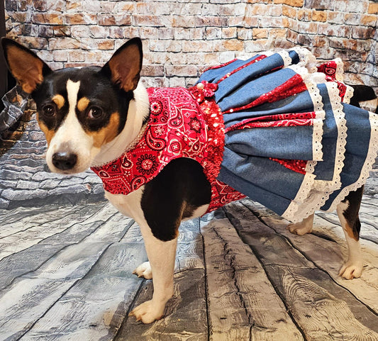- Western cowgirl pet dress, Country western pet dress
