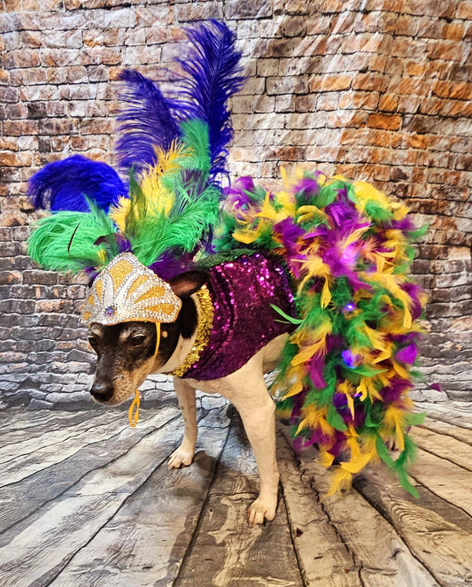 - Mardi Gras light up pet dress, mardi gras pet costume, mardi gras dog costume, fat tuesday pet costume, carnival pet costume, mardi gras cat