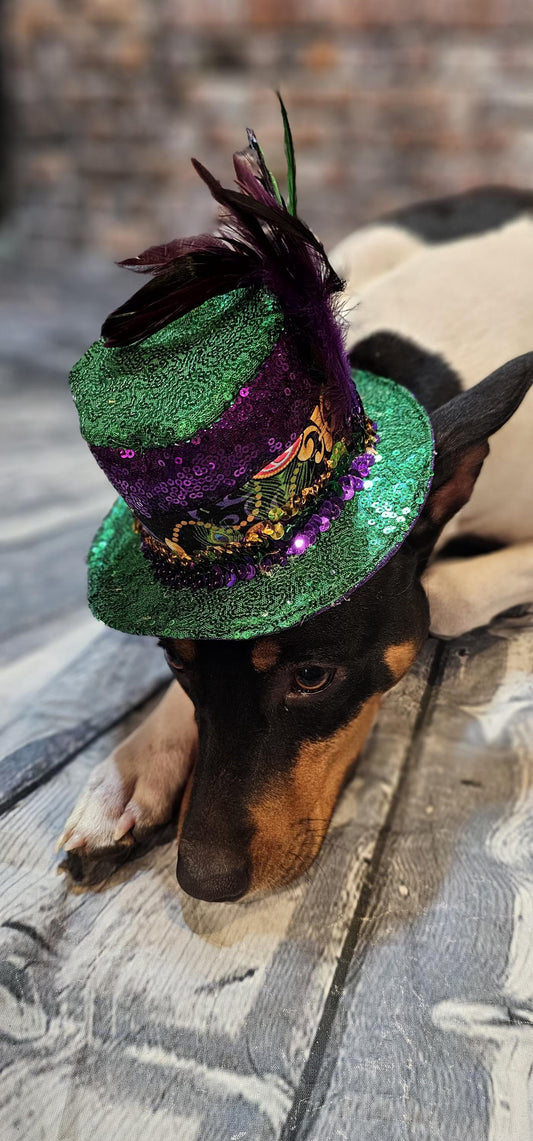 Mardi Gras sequin pet hat, fat tuesday pet hat, mardi gras pet hat, mardi gras dog hat, mardi gras cat hat, fat tuesday dog hat, sequin pet hat