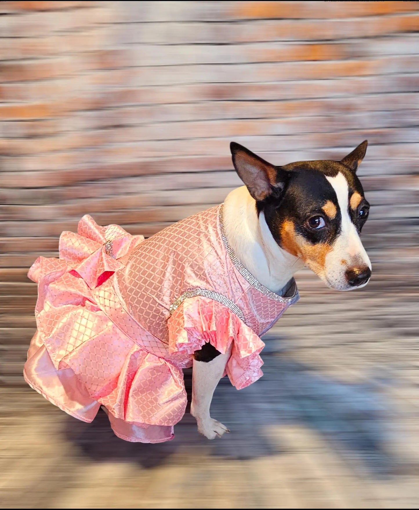 Detachable train pet dress, elegant pet dress, elegant detachable train dog dress, wedding pet dress, pretty in Pink pet dress