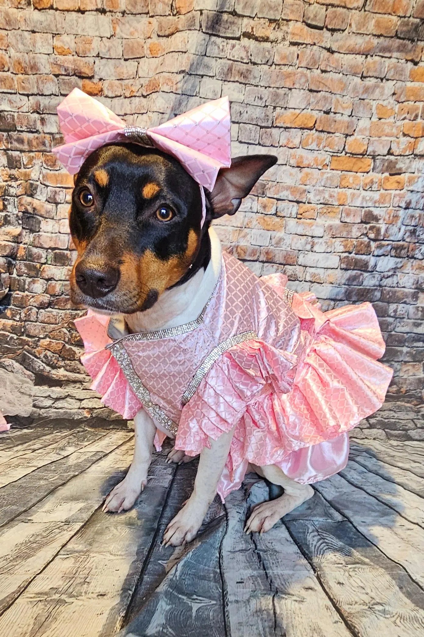 Detachable train pet dress, elegant pet dress, elegant detachable train dog dress, wedding pet dress, pretty in Pink pet dress
