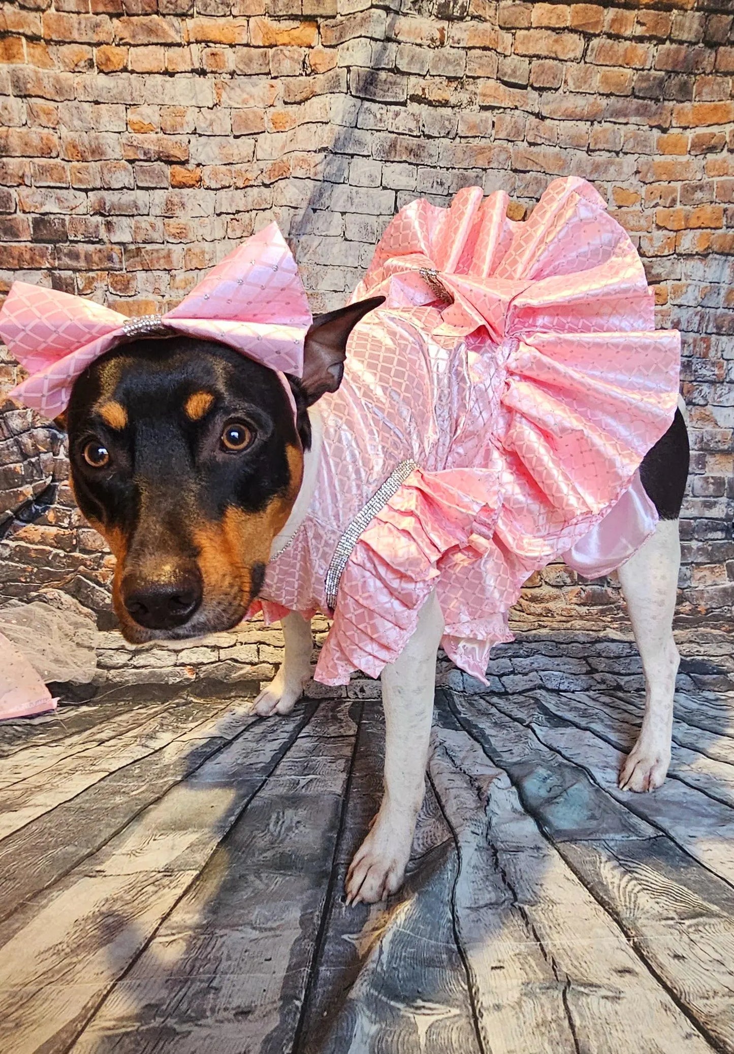 Detachable train pet dress, elegant pet dress, elegant detachable train dog dress, wedding pet dress, pretty in Pink pet dress