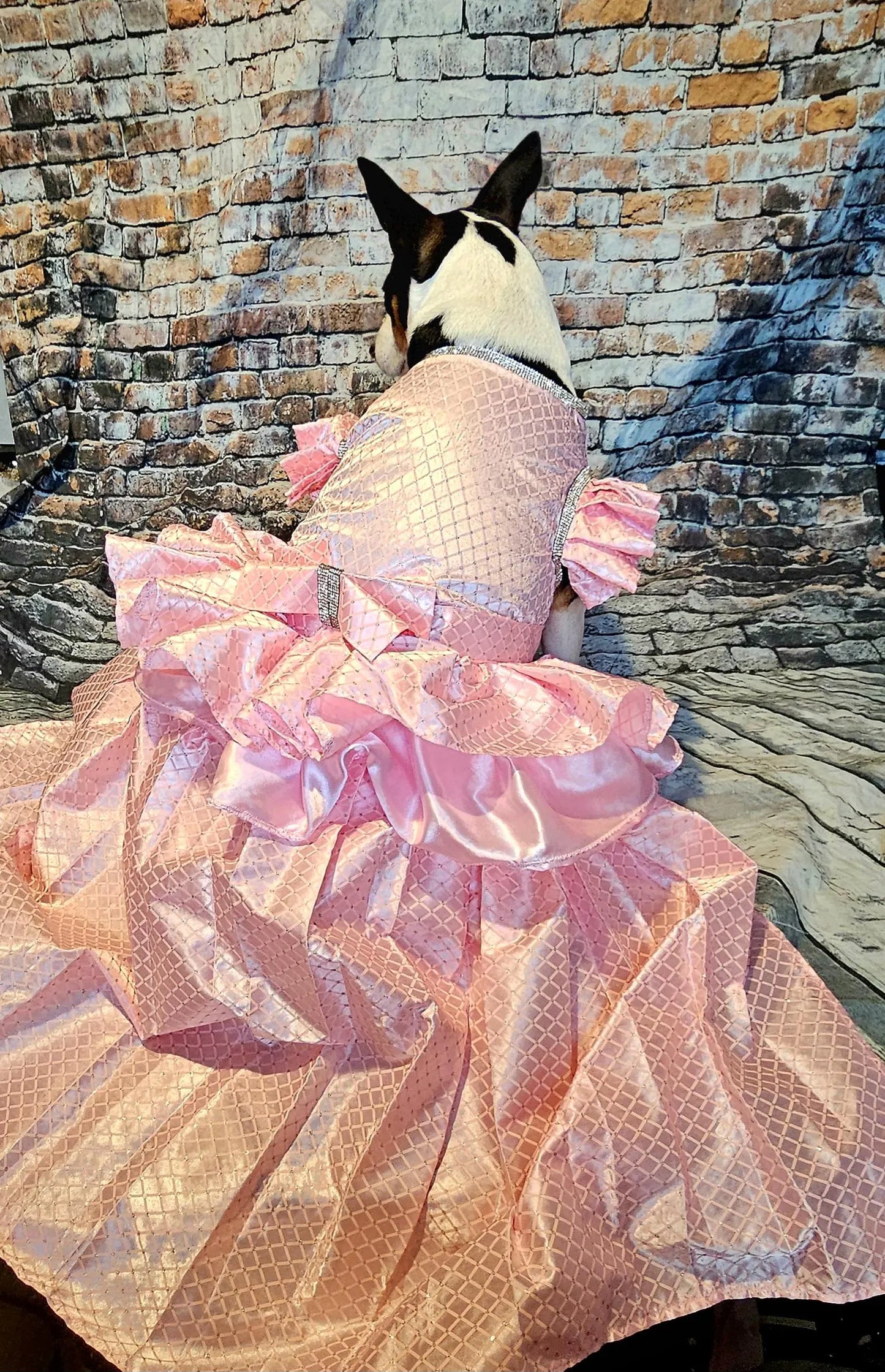 Detachable train pet dress, elegant pet dress, elegant detachable train dog dress, wedding pet dress, pretty in Pink pet dress