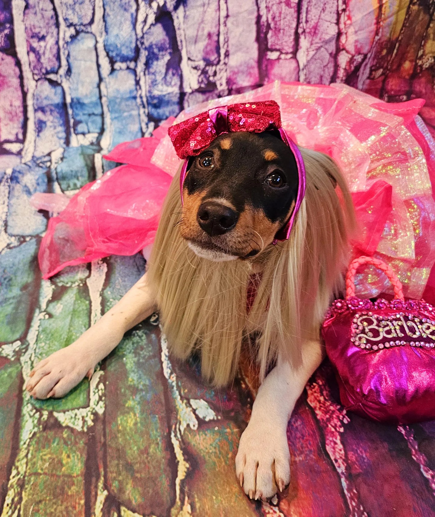 - Pink doll pet costume, Barbie sequin pink pet costume, dog barbie pink pet costume, wig pet costume, replica Barbie pet costume