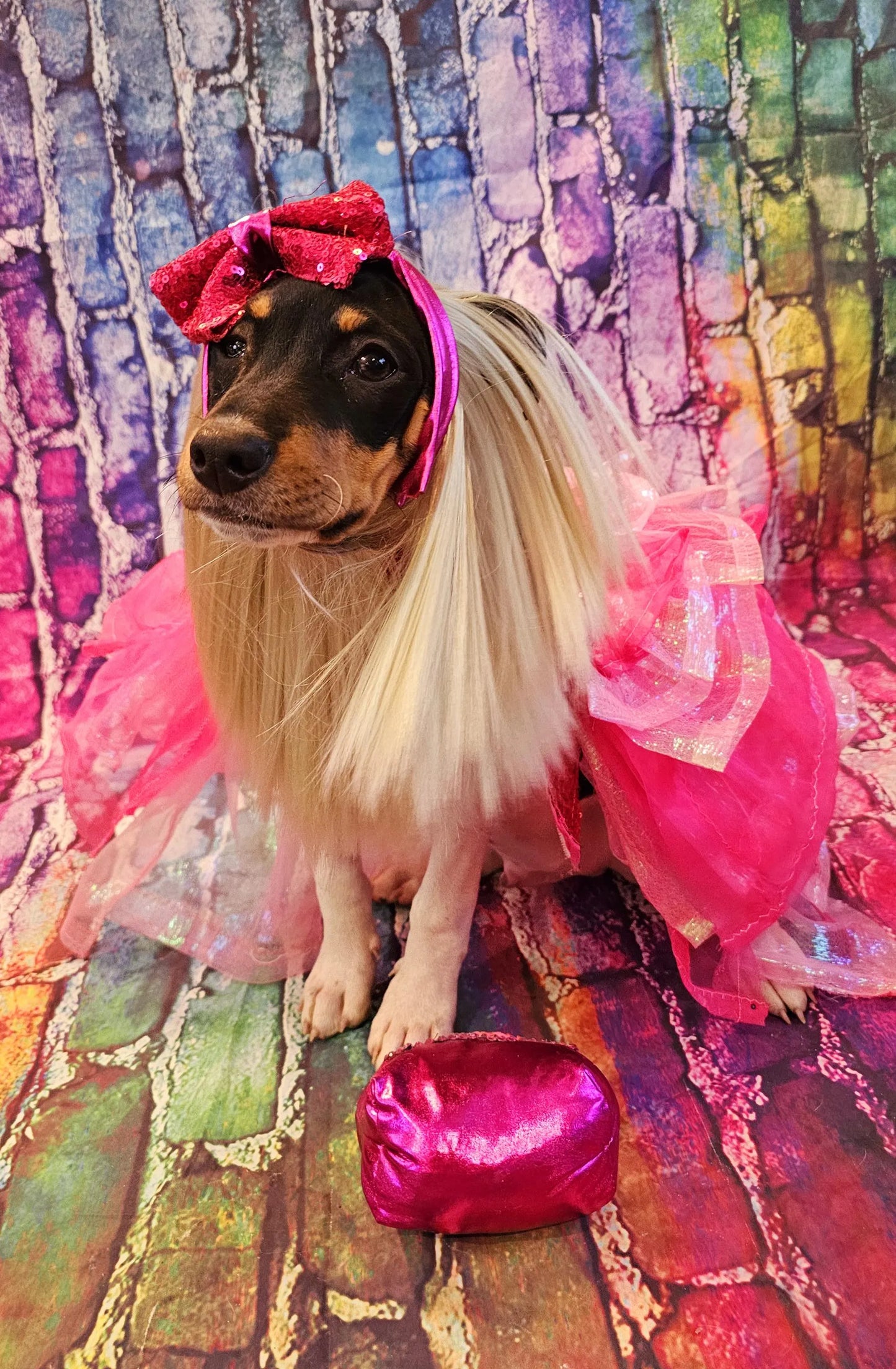 - Pink doll pet costume, Barbie sequin pink pet costume, dog barbie pink pet costume, wig pet costume, replica Barbie pet costume