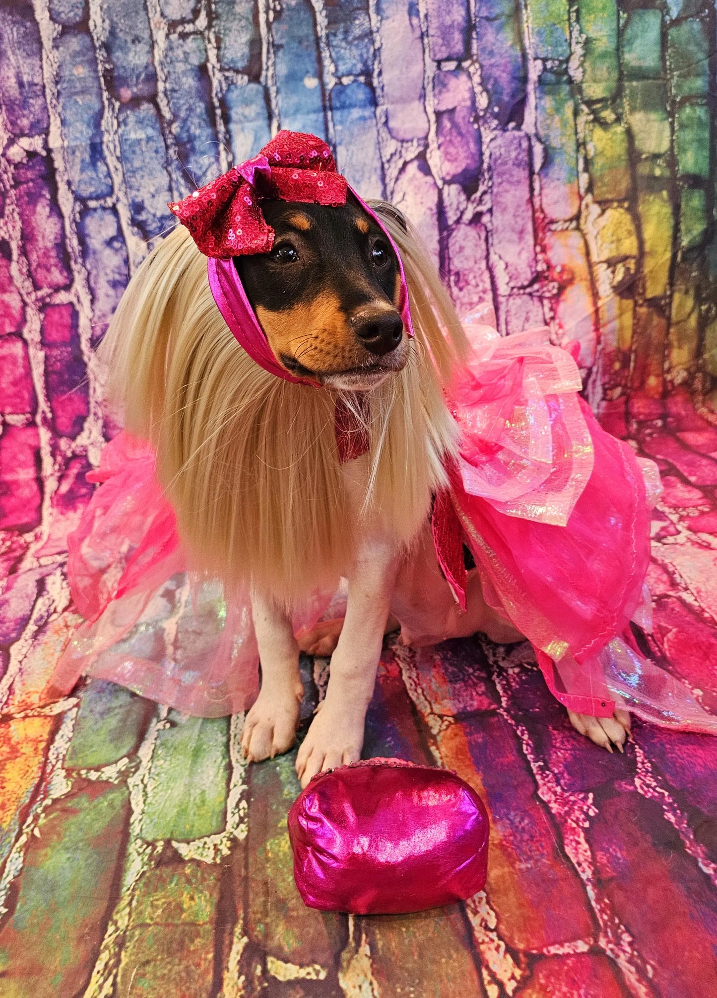 - Pink doll pet costume, Barbie sequin pink pet costume, dog barbie pink pet costume, wig pet costume, replica Barbie pet costume