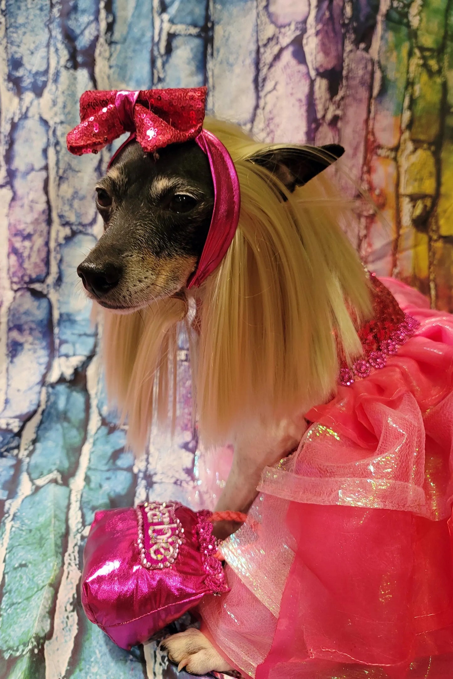 - Pink doll pet costume, Barbie sequin pink pet costume, dog barbie pink pet costume, wig pet costume, replica Barbie pet costume