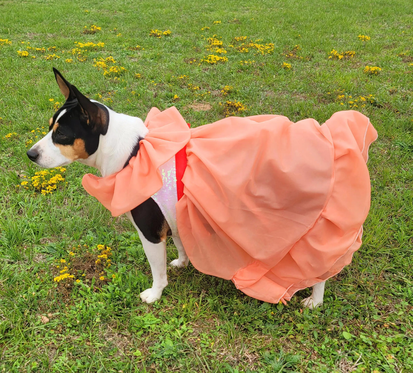 Peaches and Cream pet costume, peaches and cream dog costume, peaches and cream cat costume, peaches and cream pet dress, replica Barbie pet