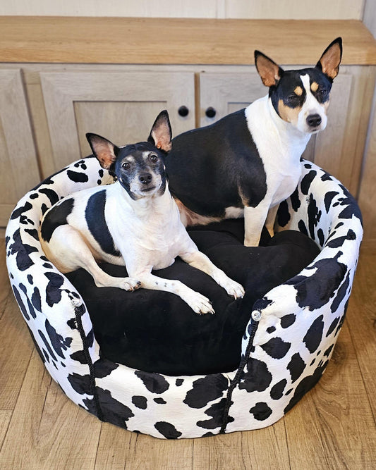 Cow print luxury Pet bed, Cow pet bed, Moo Cow Pet bed, Cow luxury dog bed, Cow print pet furniture, country pet bed, round pet bed