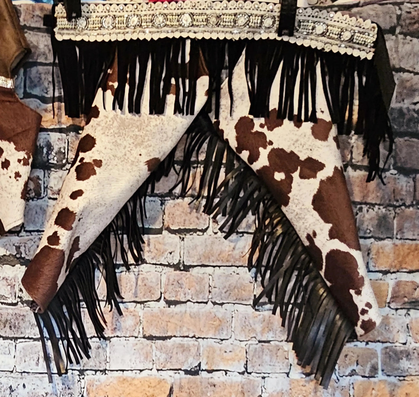 - Western pet chaps, western dog chaps, western cat chaps, chaps for dogs, fringe pet chaps, fringe dog chaps, western pet pants