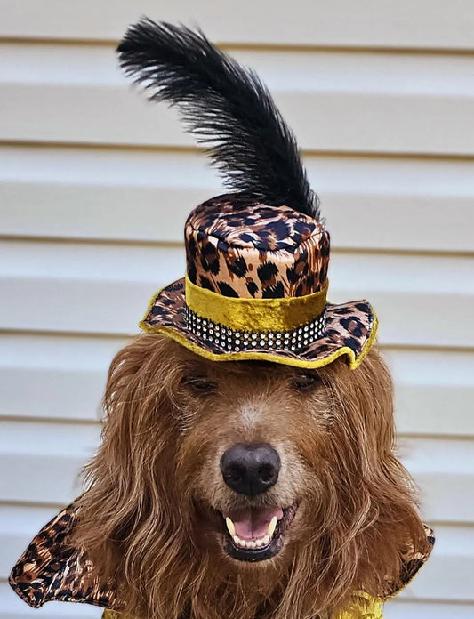 Pimp pet hat, pimp dog hat, gangster pet hat, gangster dog hat, pet pimp hat, pimp cat hat, dog gangster hat, pimp feather pet hat