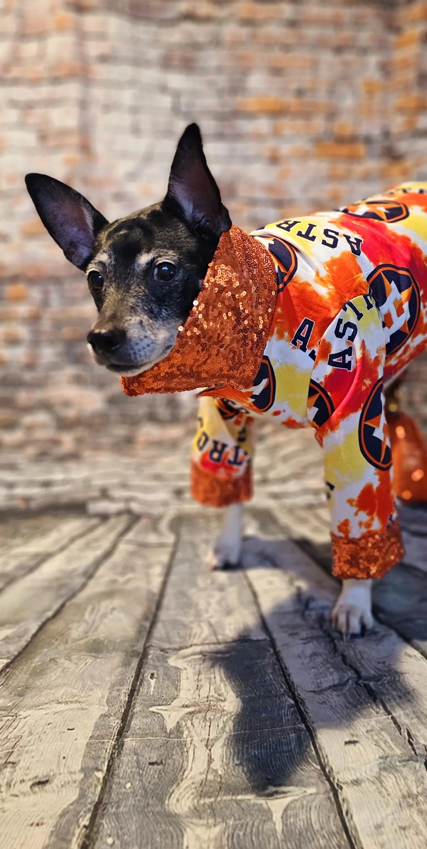 Houston Astros pet suit, Astros sequin dog suit, Astros cat suit