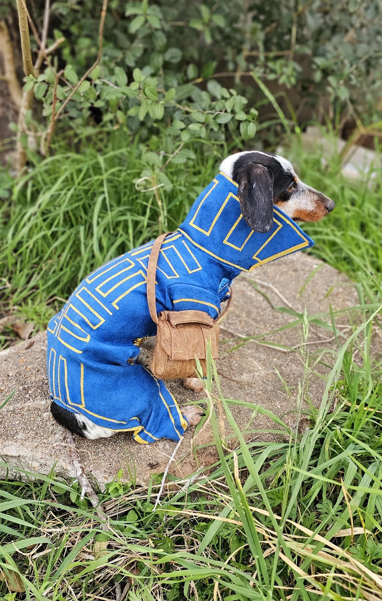 -  Prince Fiyero pet costume, prince fiyero dog costume, fiyero cat costume, pet fiyero costume, dog fiyero costume, cat fiyero costume