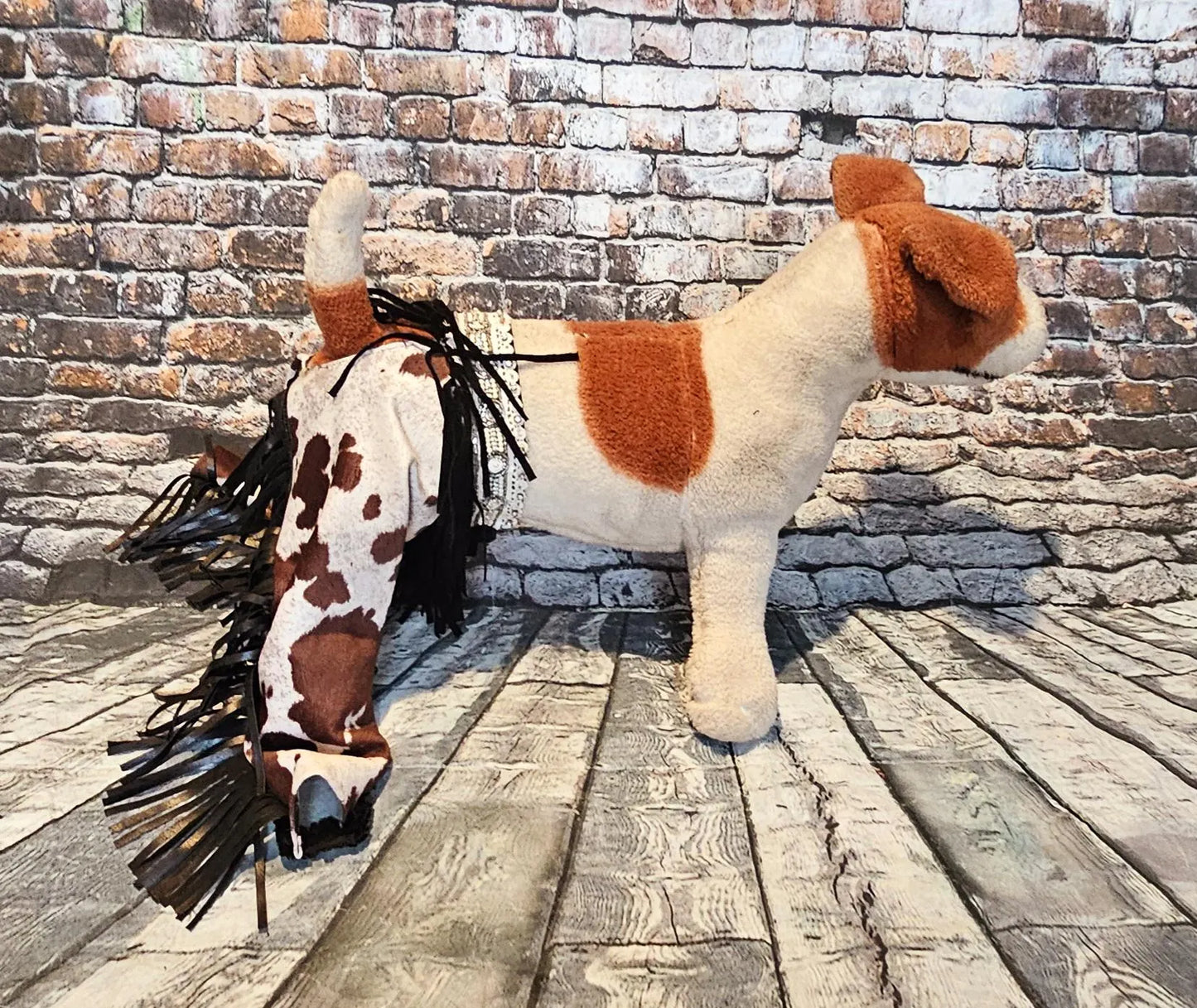 - Western pet chaps, western dog chaps, western cat chaps, chaps for dogs, fringe pet chaps, fringe dog chaps, western pet pants