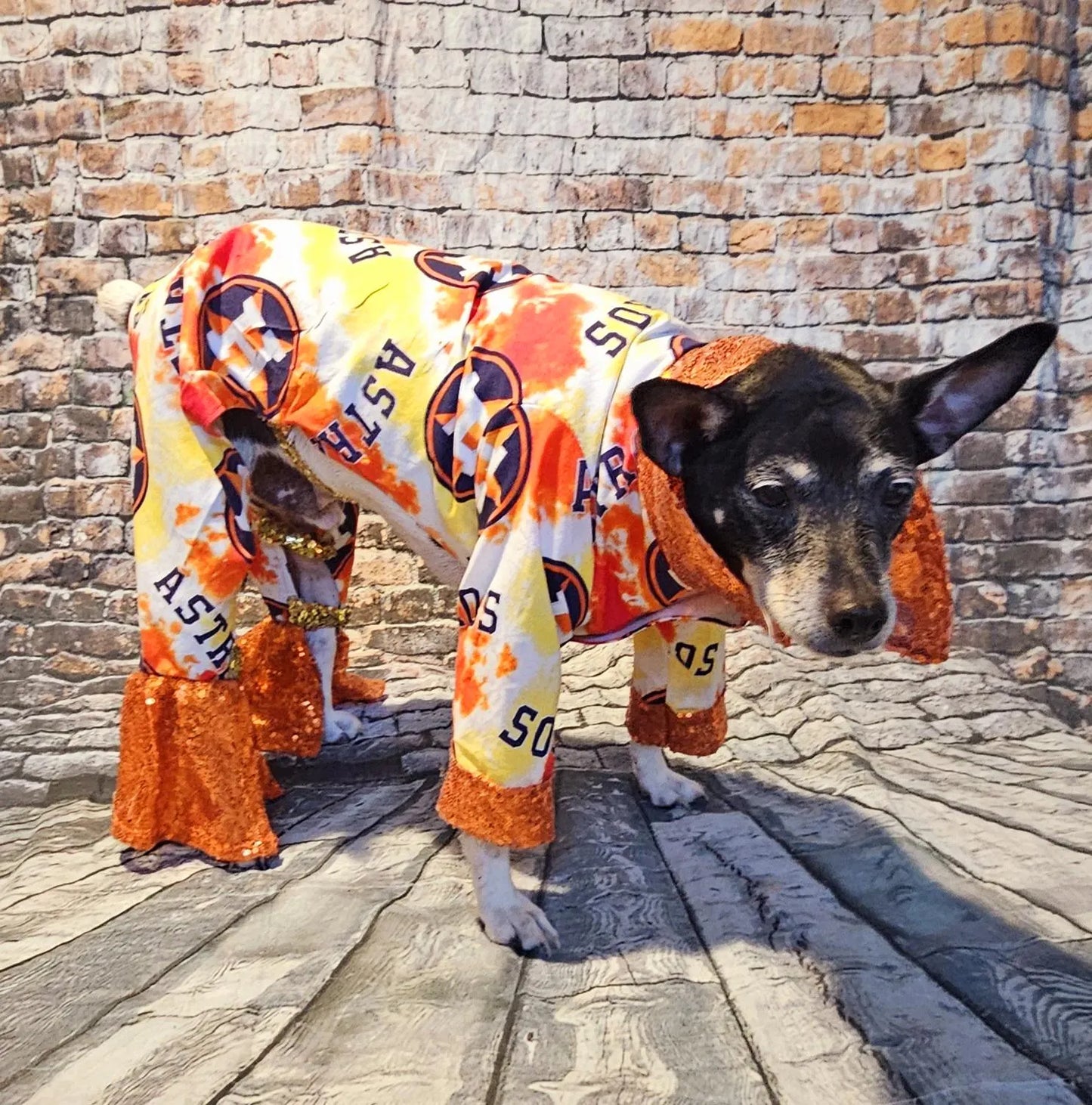 Houston Astros pet suit, Astros sequin dog suit, Astros cat suit