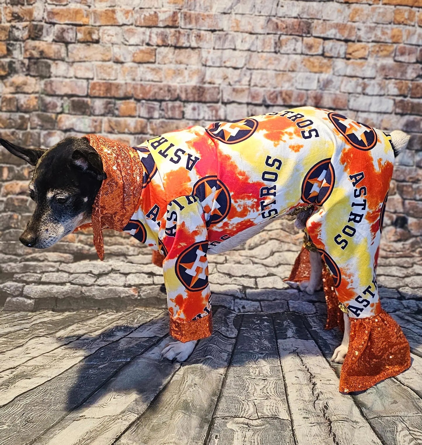 Houston Astros pet suit, Astros sequin dog suit, Astros cat suit