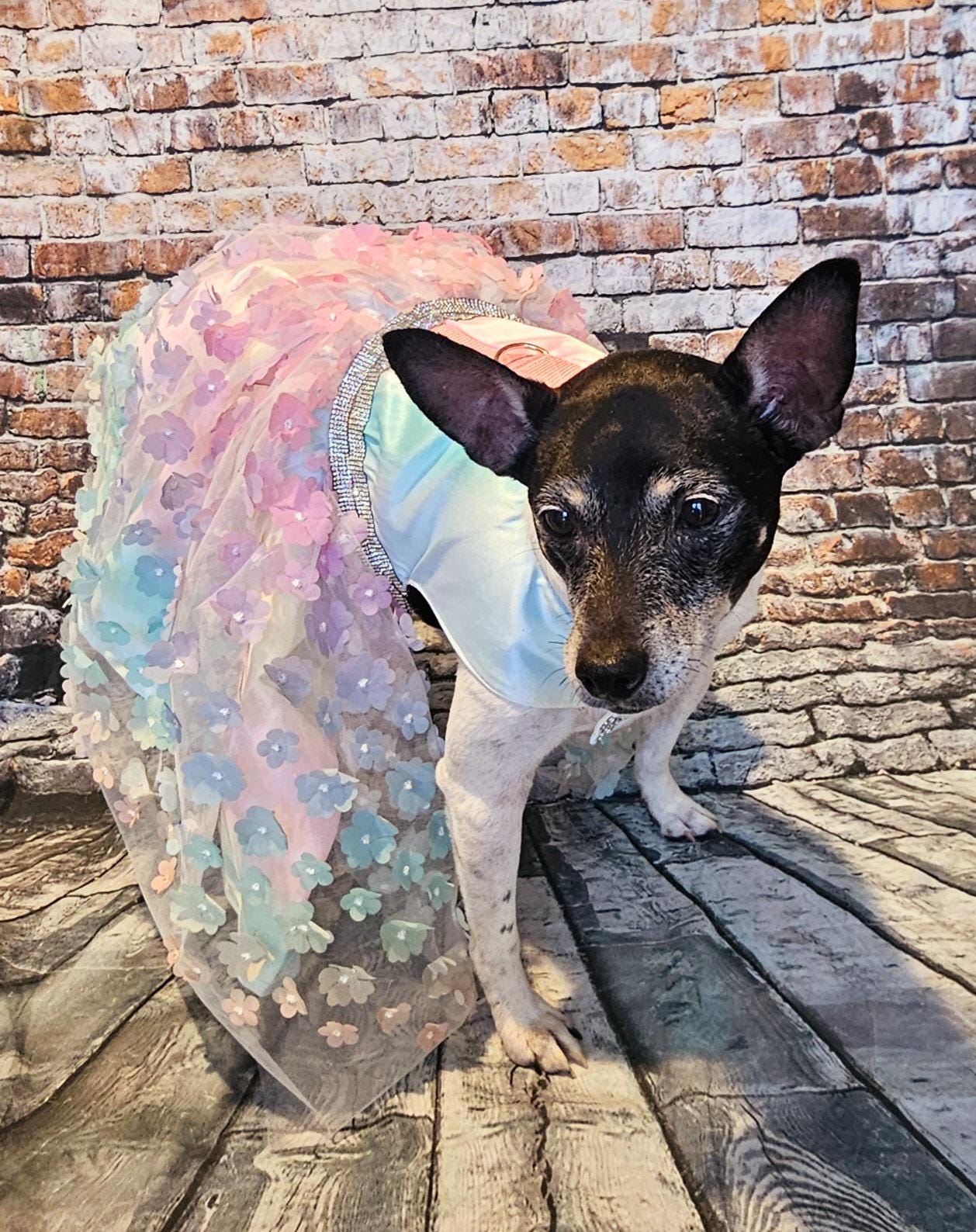 Flower pet dress, flower dog dress, flower cat dress, pastel pet dress, special occasion pet dress, couture pet dress, 3D flower pet dress
