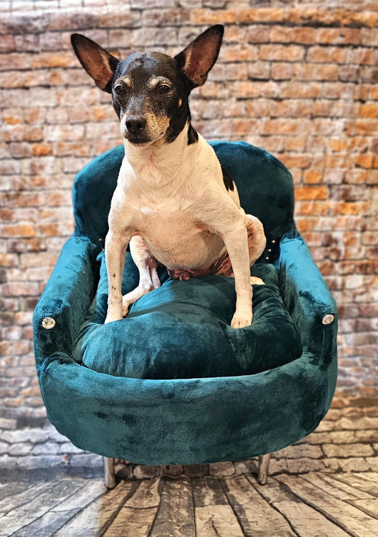 Luxury Pet Chair, Office dog chair, office cat chair, luxury pet bed