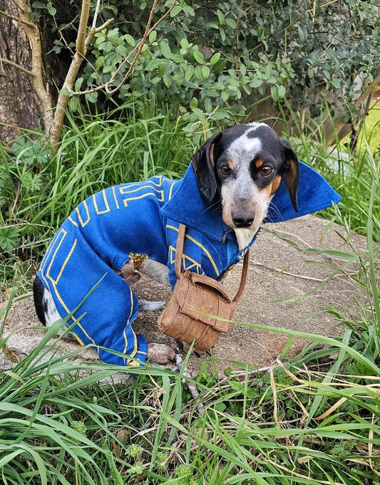 -  Prince Fiyero pet costume, prince fiyero dog costume, fiyero cat costume, pet fiyero costume, dog fiyero costume, cat fiyero costume
