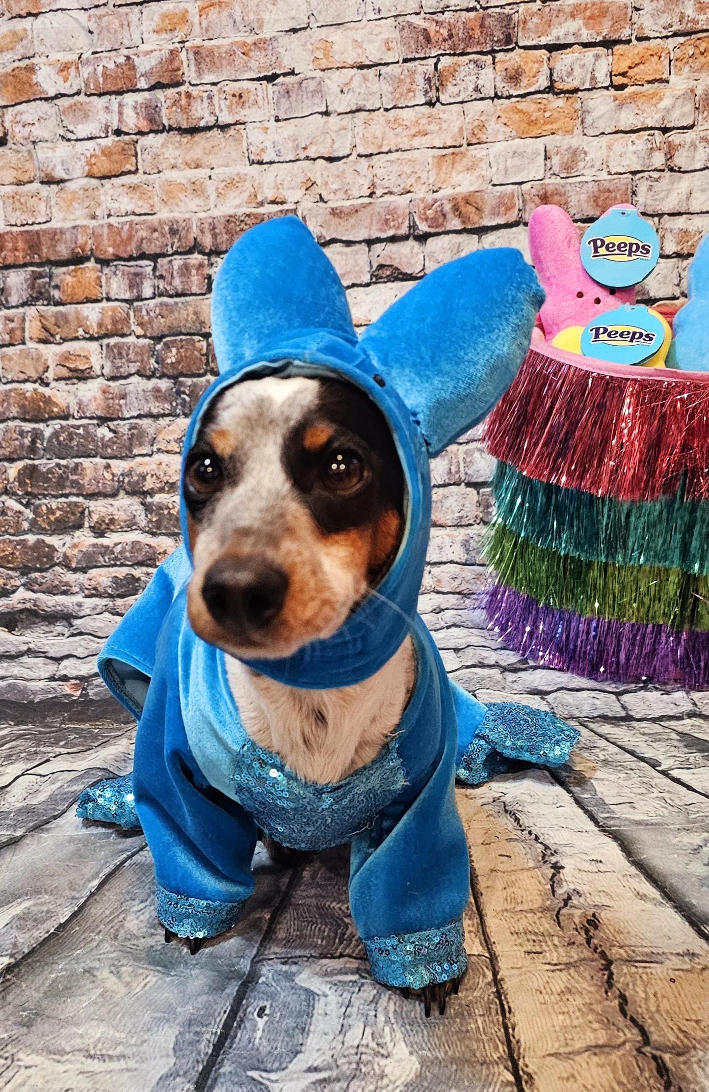 Peeps pet costume, bunny pet costume, Easter pet costume, peeps dog costume, peeps marshmallow pet costume, Easter bunny pet costume