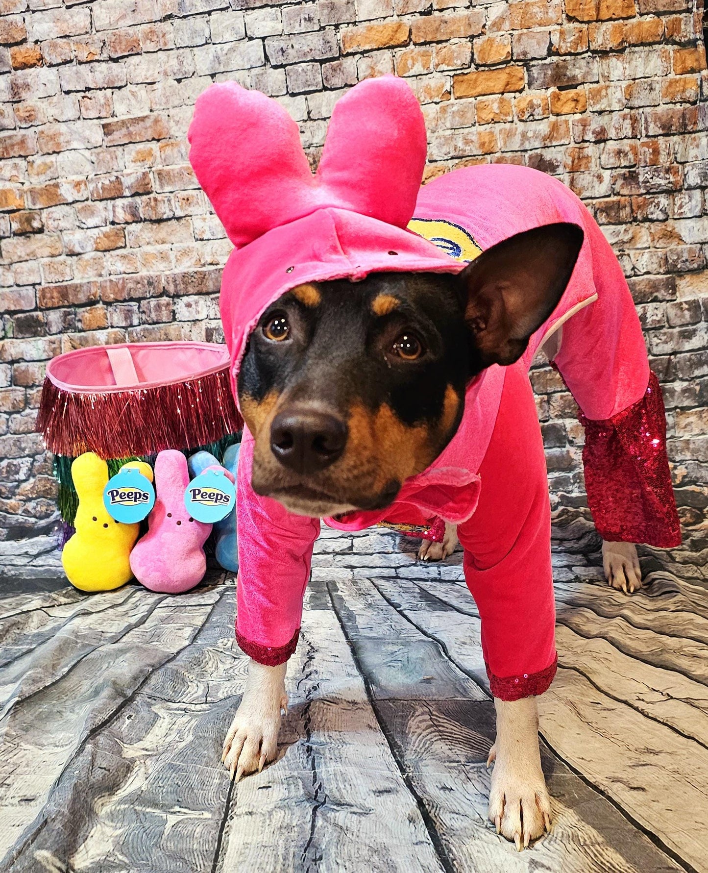 Peeps pet costume, bunny pet costume, Easter pet costume, peeps dog costume, peeps marshmallow pet costume, Easter bunny pet costume