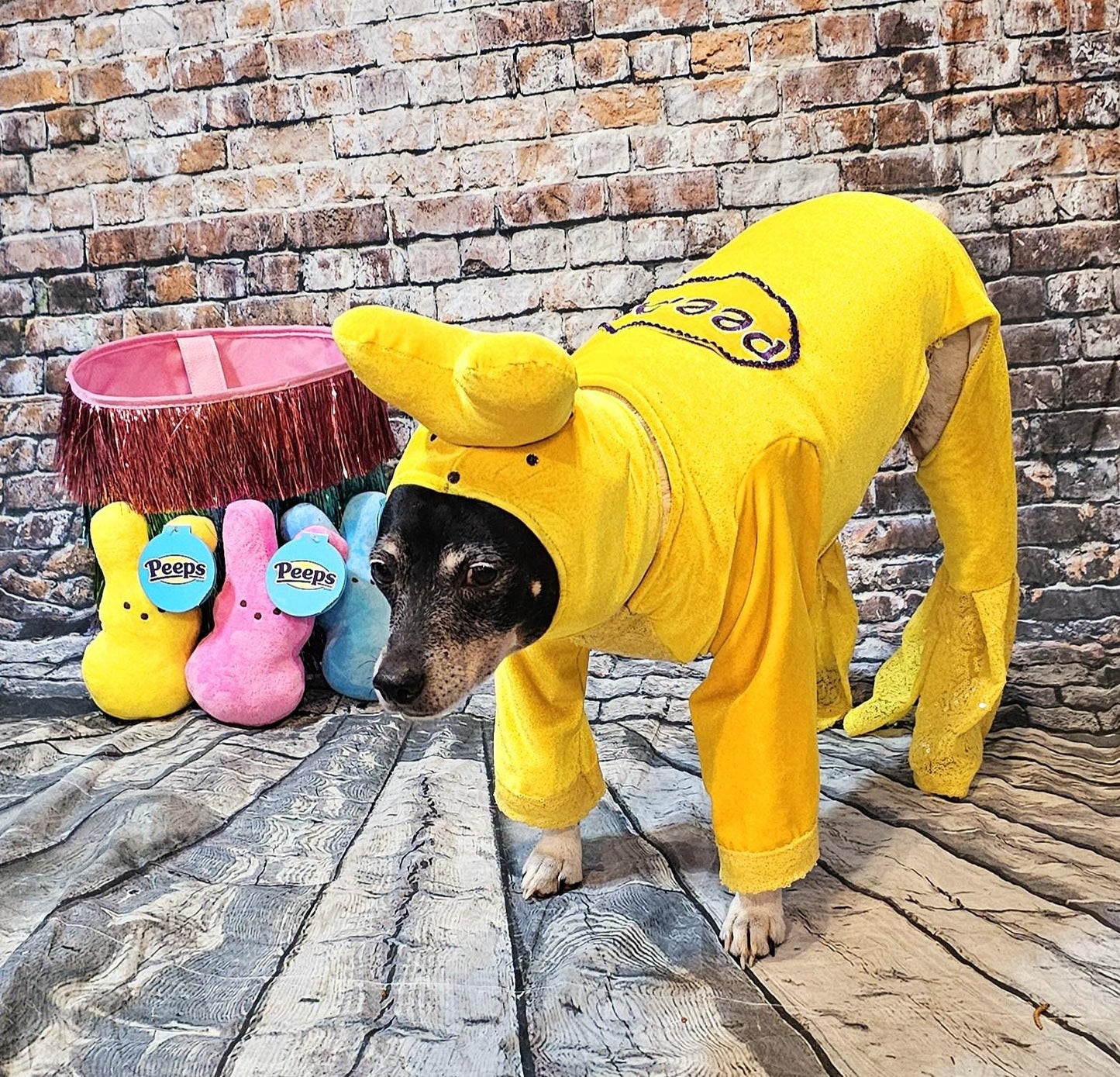 Peeps pet costume, bunny pet costume, Easter pet costume, peeps dog costume, peeps marshmallow pet costume, Easter bunny pet costume