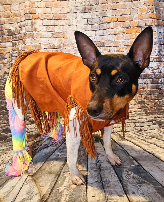 - Woofstock fringe pet hippie vest, pet hippie costume, tassel pet jacket, brown fringe pet, bell bottom pet, hippie dog costume