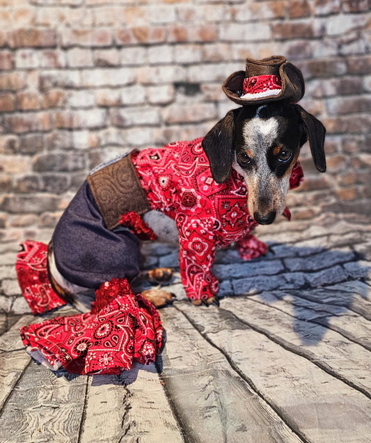 Western cowboy pet costume, cowboy dog costume, country pet costume