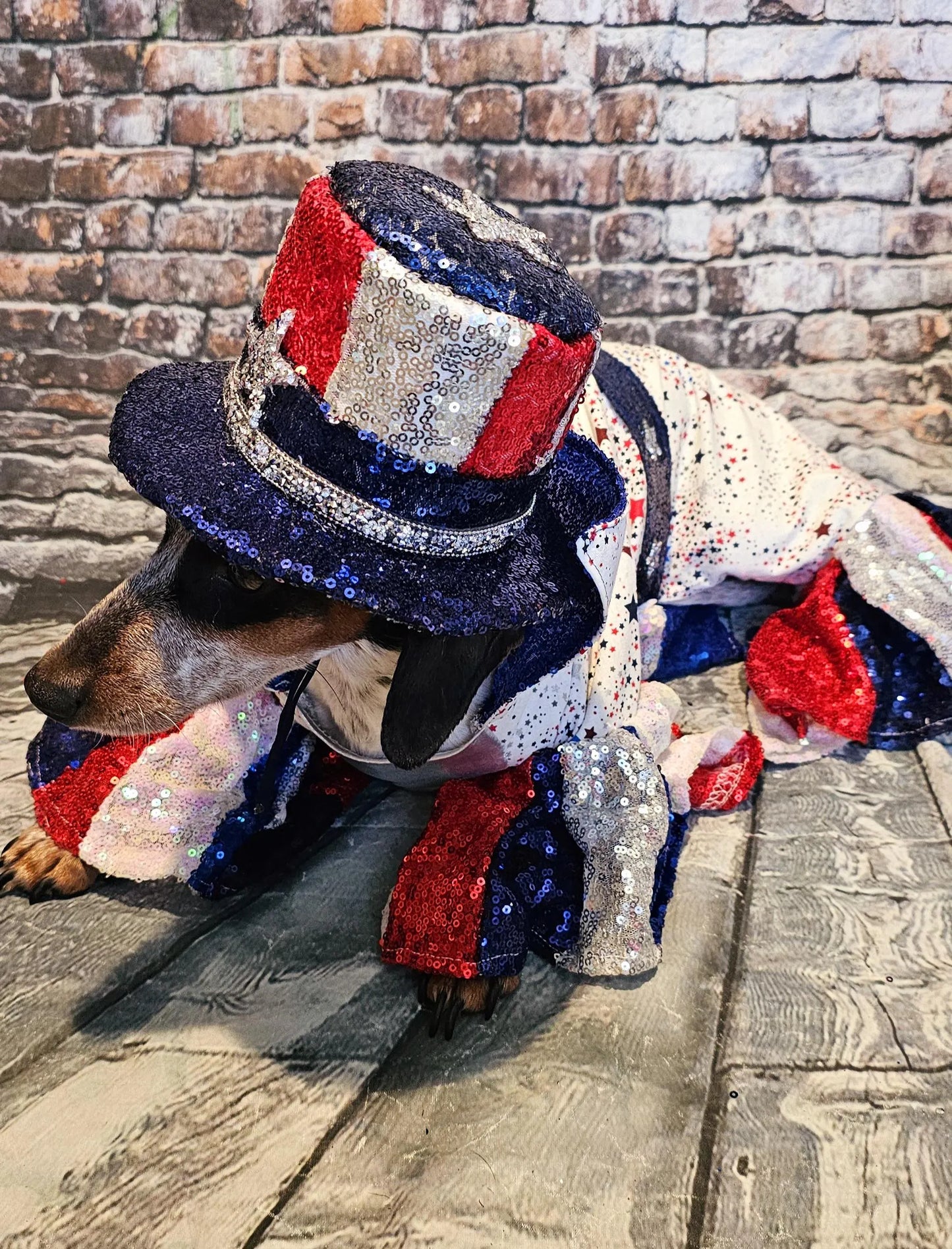 July 4th pet costume, July 4th pet costume, Independence day pet costume, red, white, and blue pet costume, 4th of July dog pet costume