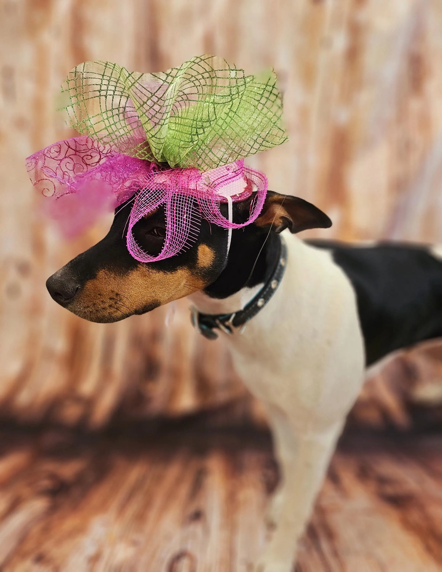 Kentucky Derby pet fasunator hat, derby pet hat