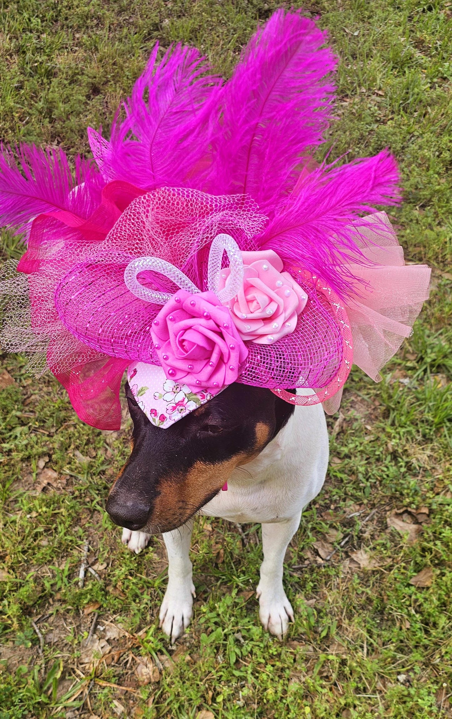Kentucky Derby flower pet fasinator hat, Kentucky Derby flower dog fasinator hat, pet fasinator hat, dog fasinator hats, pet birthday hat