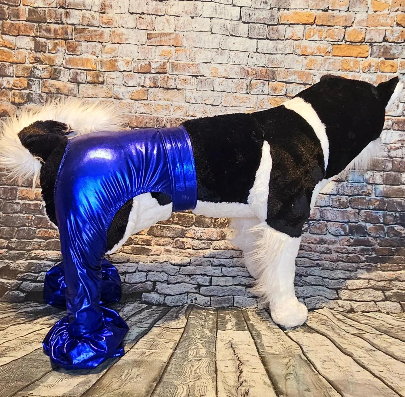 - Bell bottoms for pets, bell bottom pet pants, dog bell bottoms