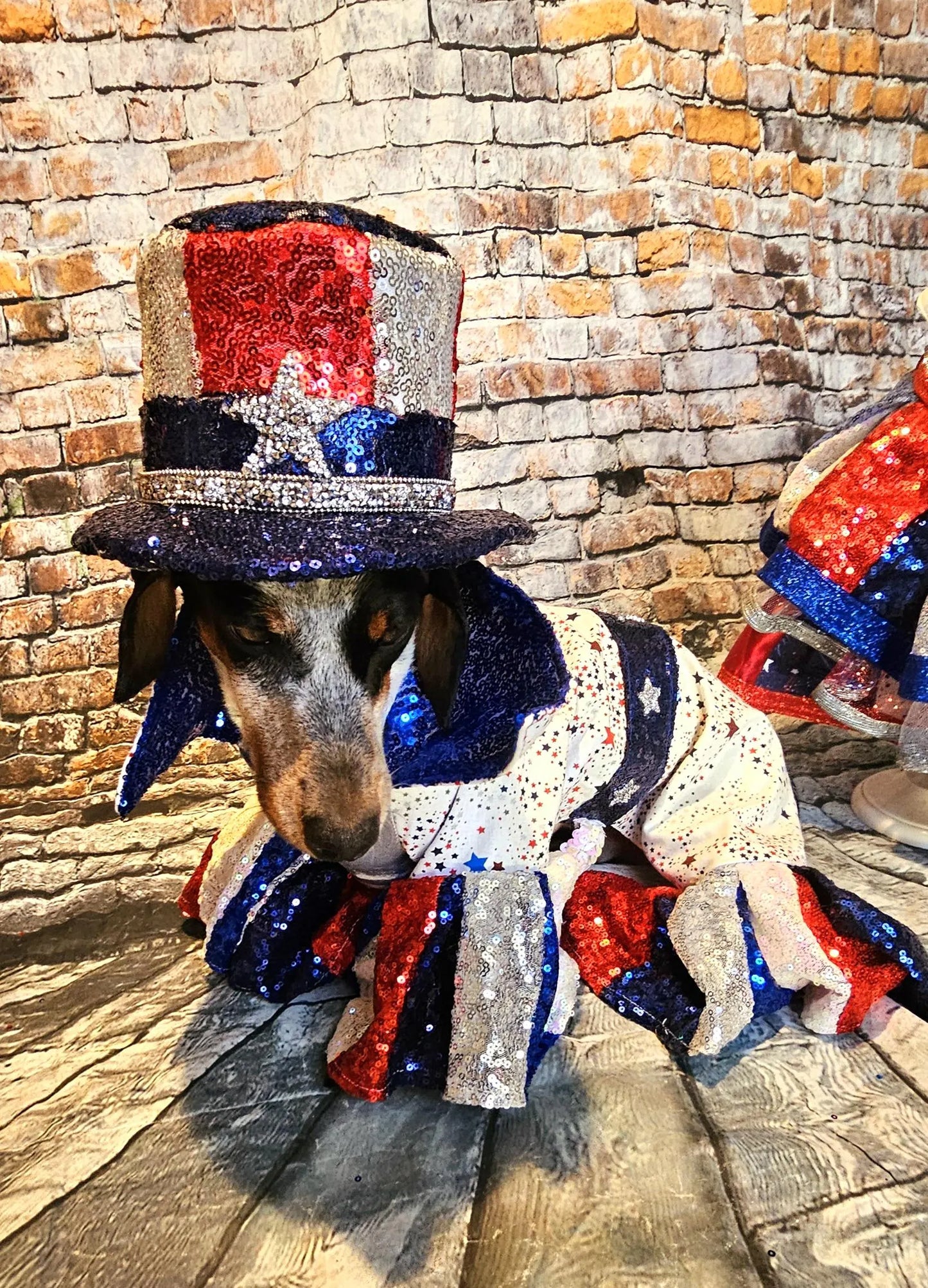 July 4th pet costume, July 4th pet costume, Independence day pet costume, red, white, and blue pet costume, 4th of July dog pet costume