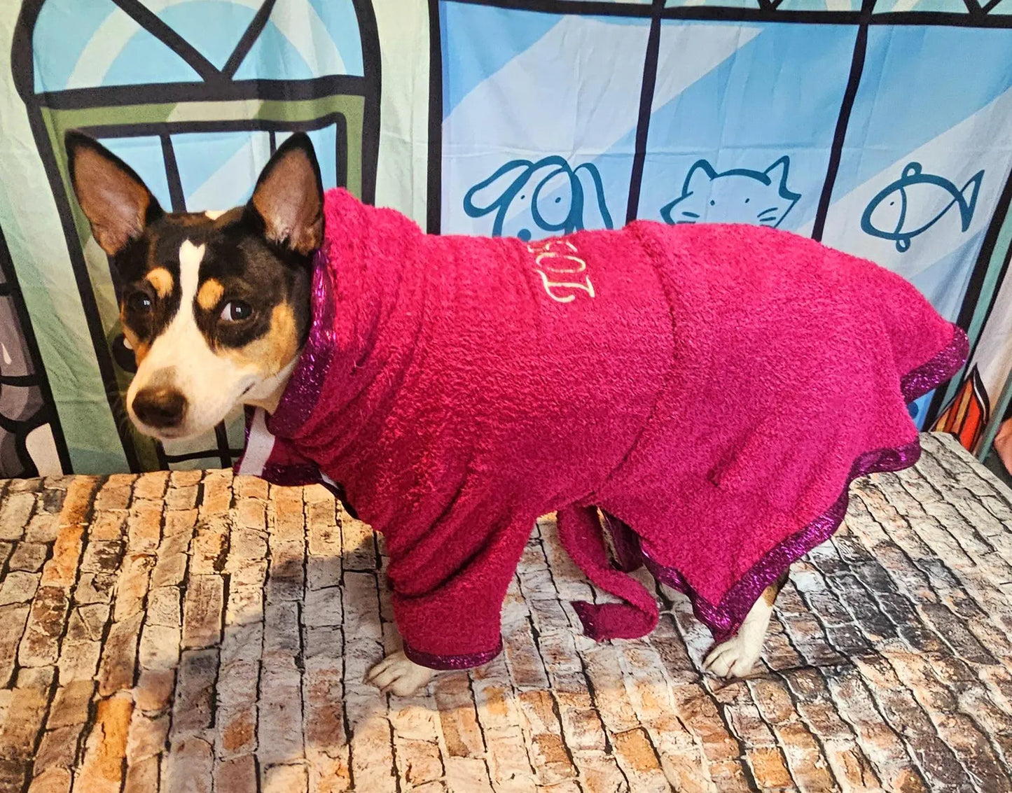 Personalized pet robe, Personalized dog robe, glitter pet robe, dog robe, Personalized cat robe, Personalized pet clothing, Terry pet robe