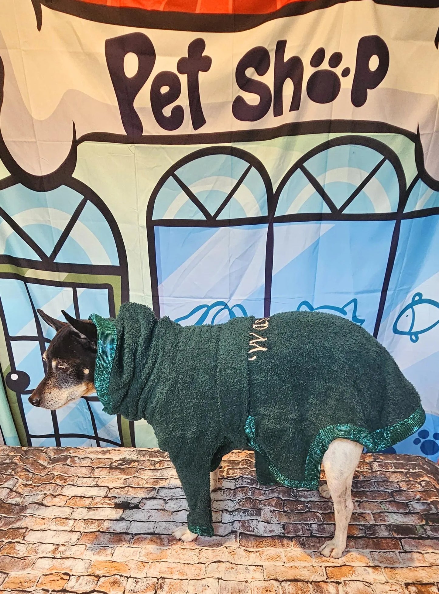 Personalized pet robe, Personalized dog robe, glitter pet robe, dog robe, Personalized cat robe, Personalized pet clothing, Terry pet robe