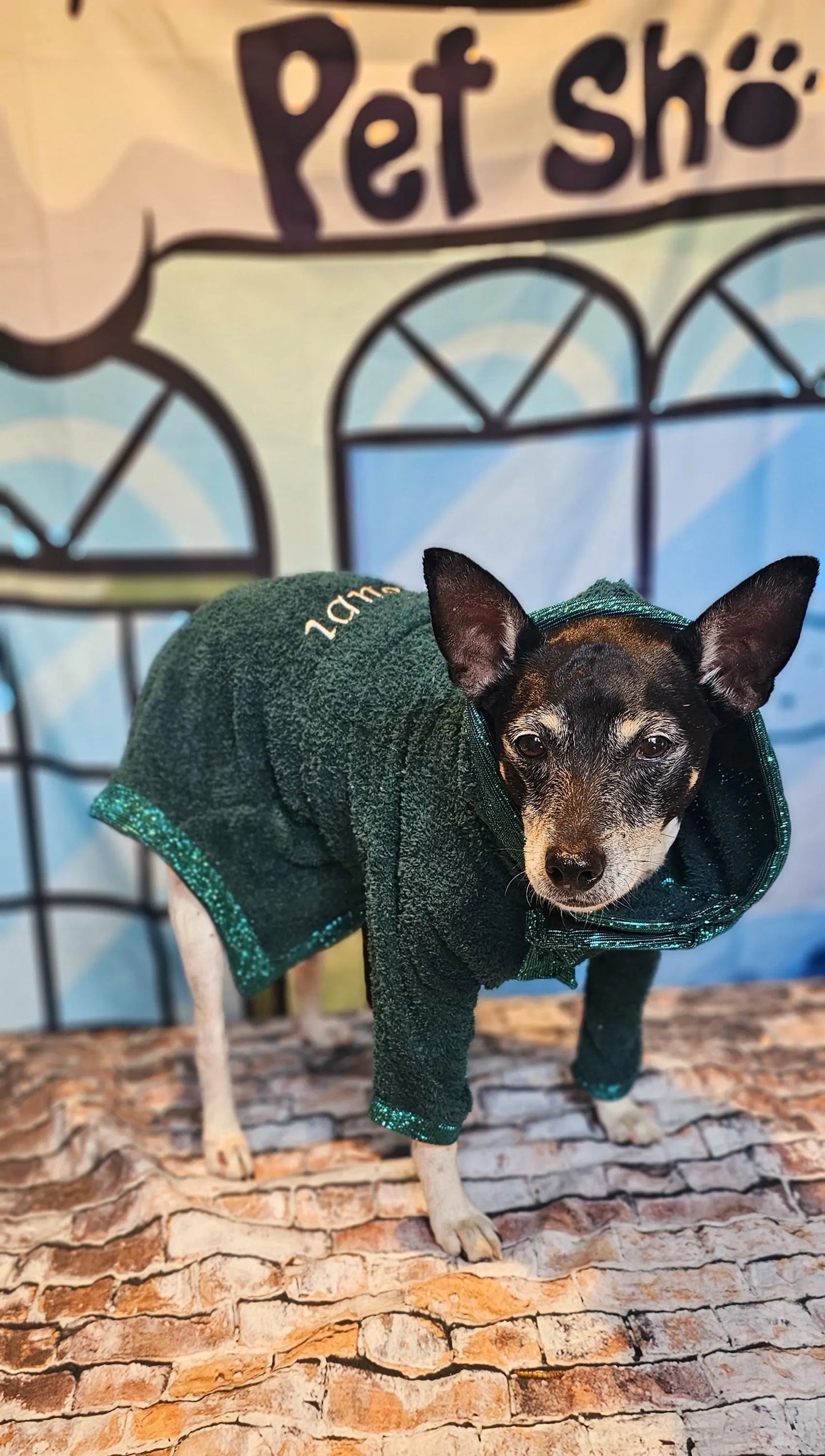 Personalized pet robe, Personalized dog robe, glitter pet robe, dog robe, Personalized cat robe, Personalized pet clothing, Terry pet robe