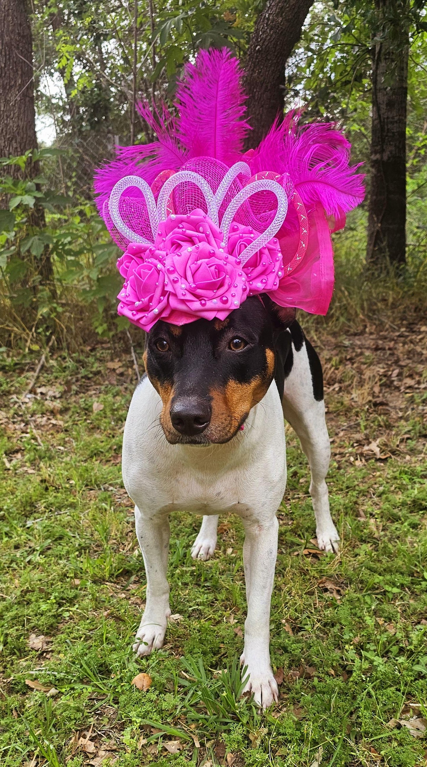 Kentucky Derby flower pet fasinator hat, Kentucky Derby flower dog fasinator hat, pet fasinator hat, dog fasinator hats, pet birthday hat
