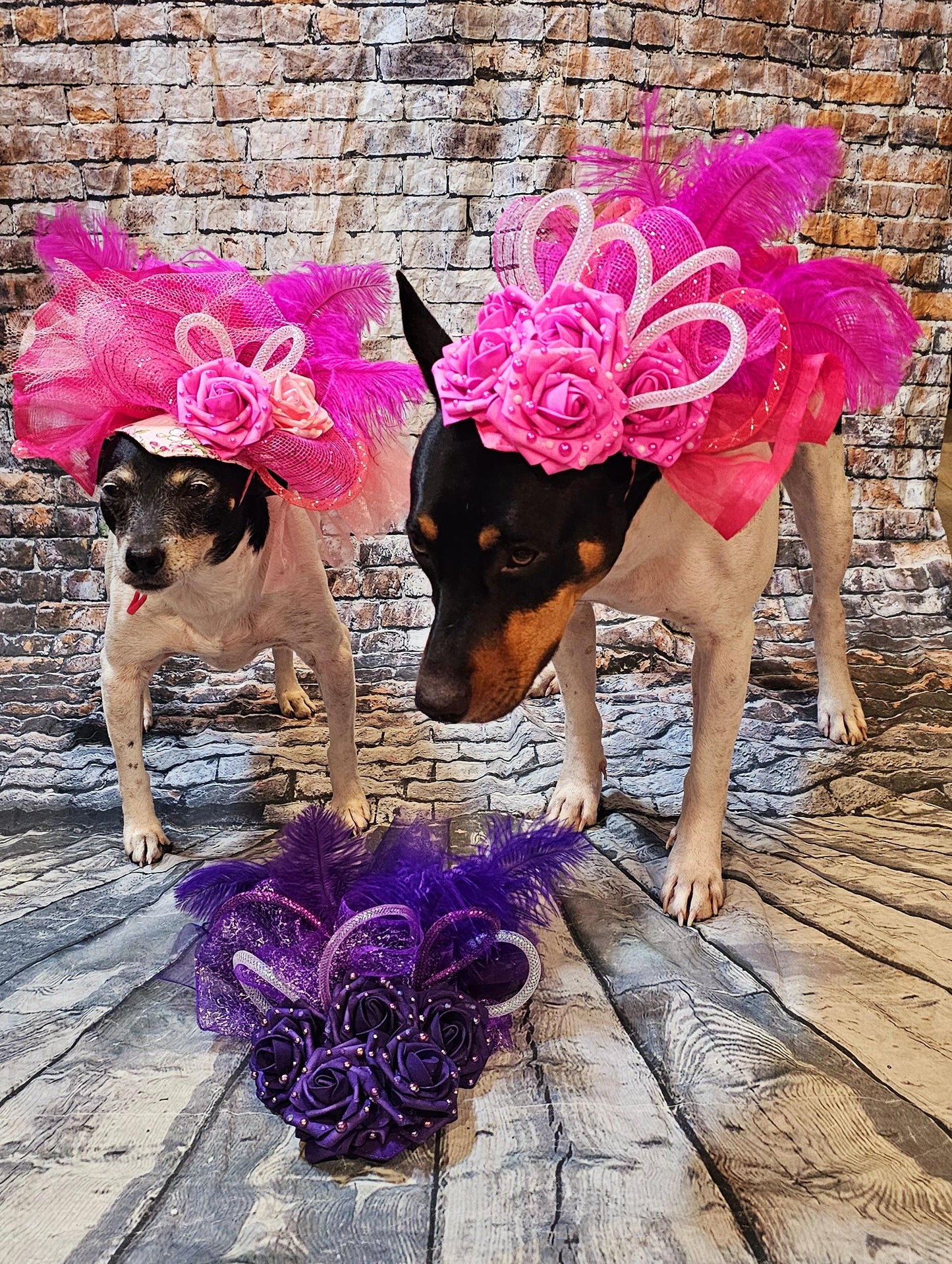Kentucky Derby flower pet fasinator hat, Kentucky Derby flower dog fasinator hat, pet fasinator hat, dog fasinator hats, pet birthday hat