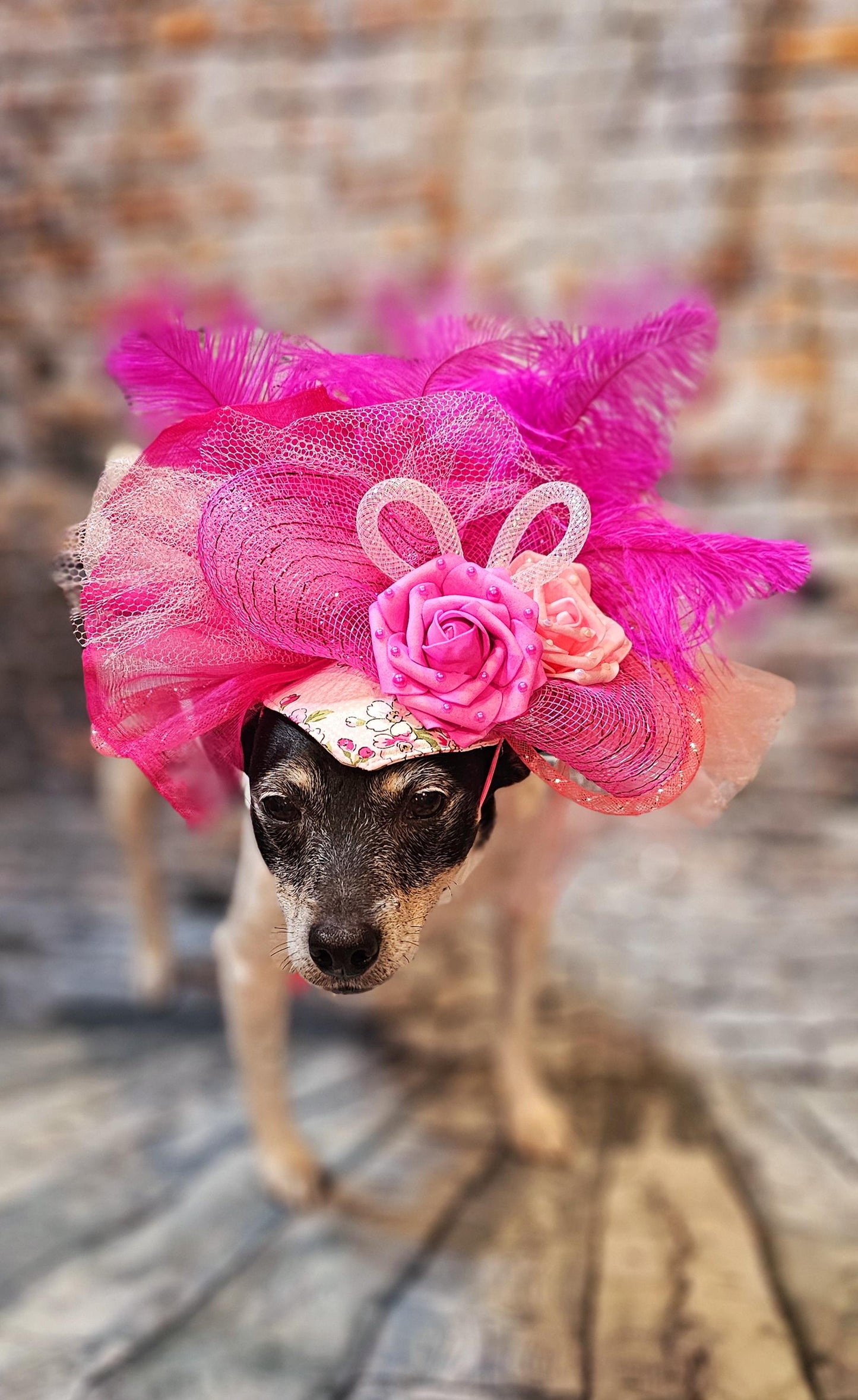 Kentucky Derby flower pet fasinator hat, Kentucky Derby flower dog fasinator hat, pet fasinator hat, dog fasinator hats, pet birthday hat