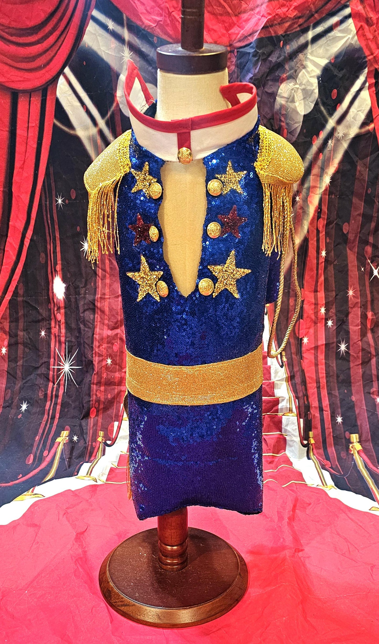 -  Chappell Roan pet costume, Chappell Roan sequin dog costume