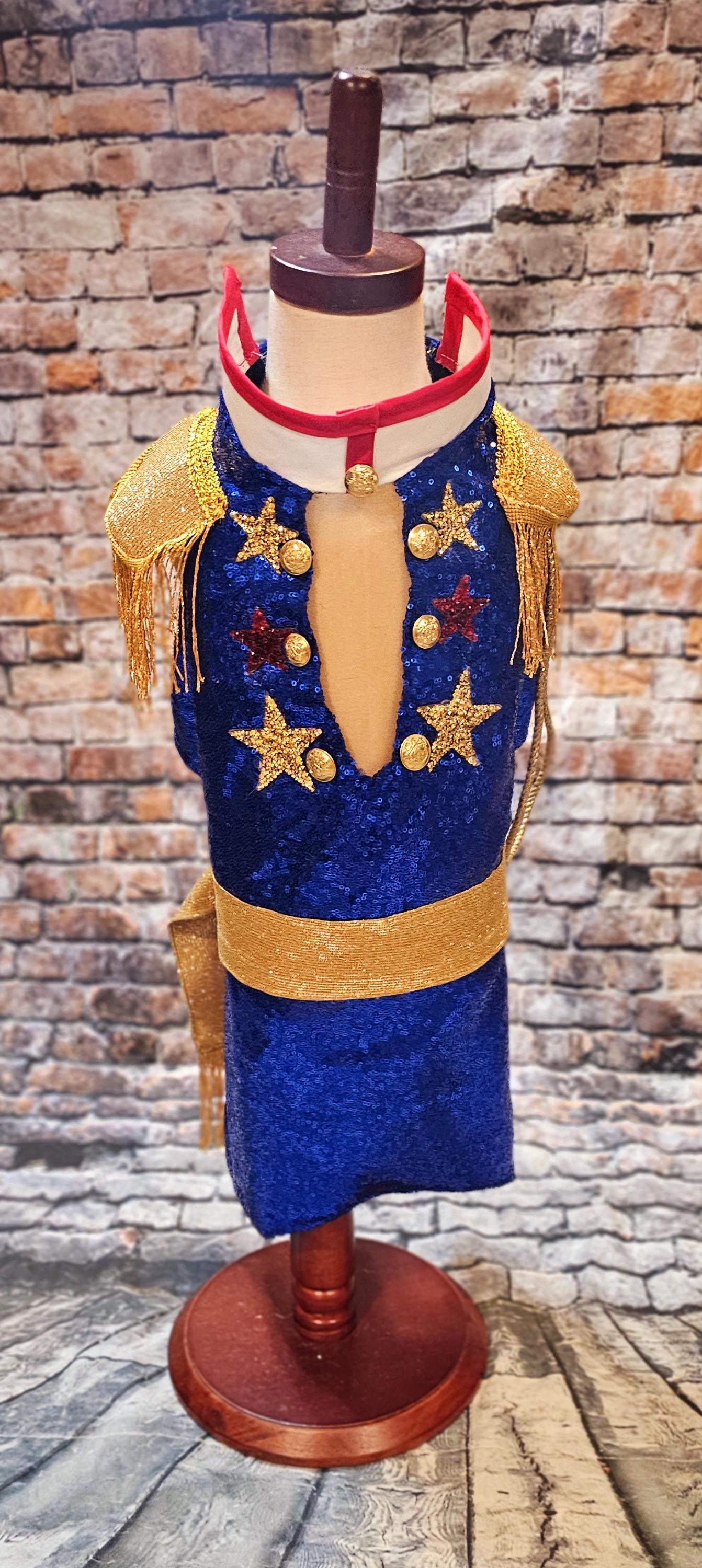 -  Chappell Roan pet costume, Chappell Roan sequin dog costume
