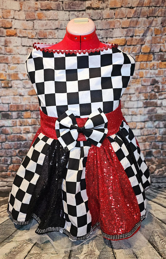 - Racer sequin pet costume, racer glitter dog costume, race car driver pet dress, raceway pet dress, race car driver dog costume, racer cat costume