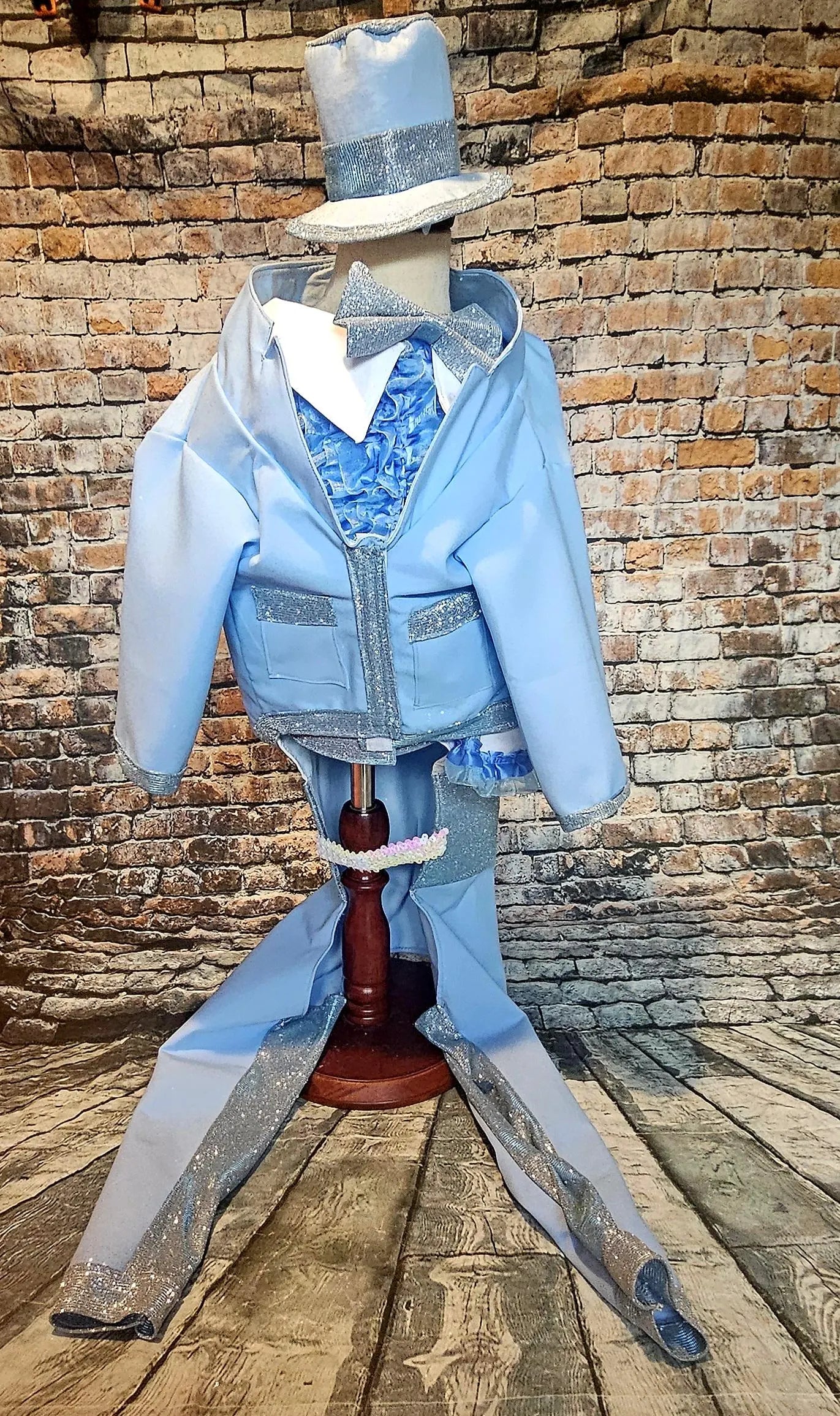 - Dumb and Dumber pet suits, Harry and Llyod pet costume, dumb and dumber glitter dog costume, dumb and dumber cat costume, pet suit