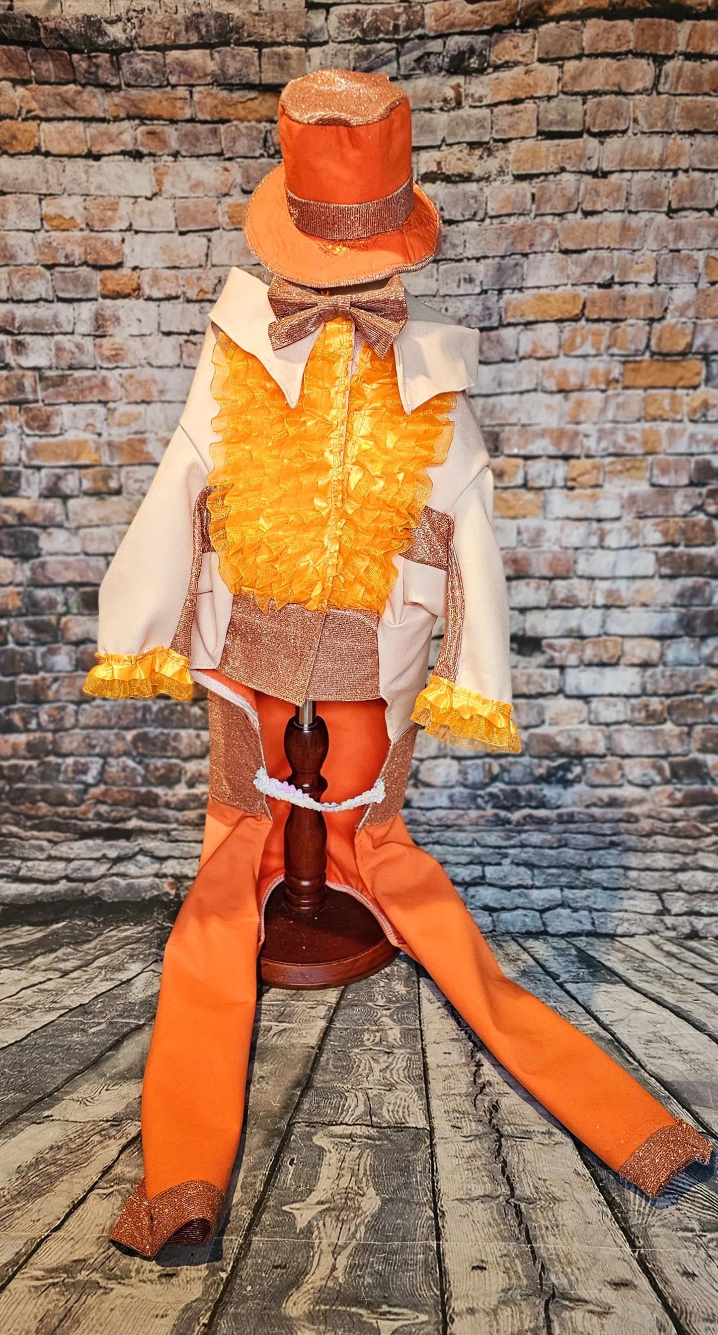 - Dumb and Dumber pet suits, Harry and Llyod pet costume, dumb and dumber glitter dog costume, dumb and dumber cat costume, pet suit